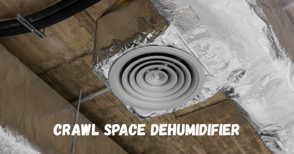 Crawl Space Dehumidifier